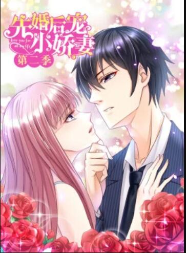 先婚后宠小娇妻第2季