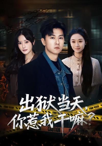 出狱当天，你惹我干嘛？(全集)