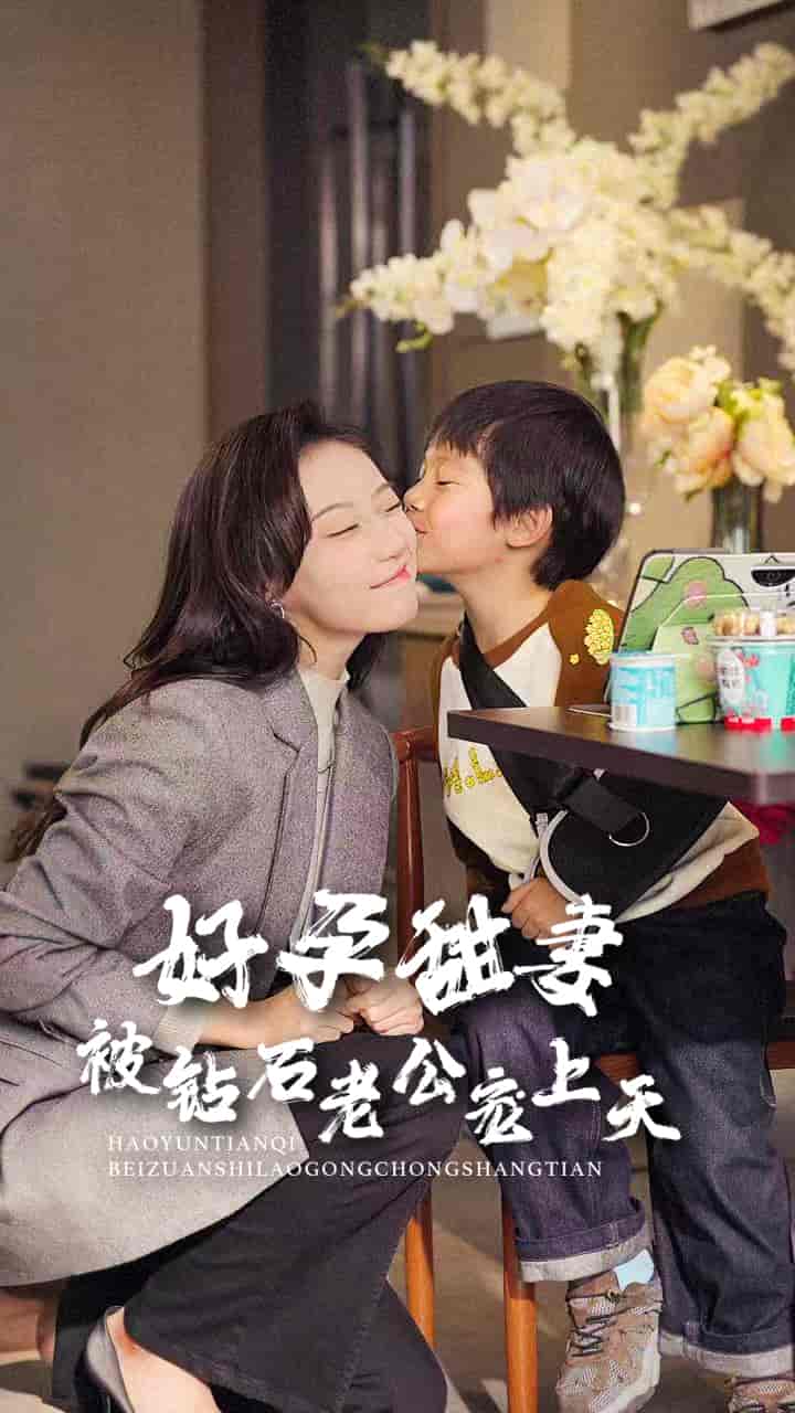 好孕甜妻被钻石老公宠上天第2集