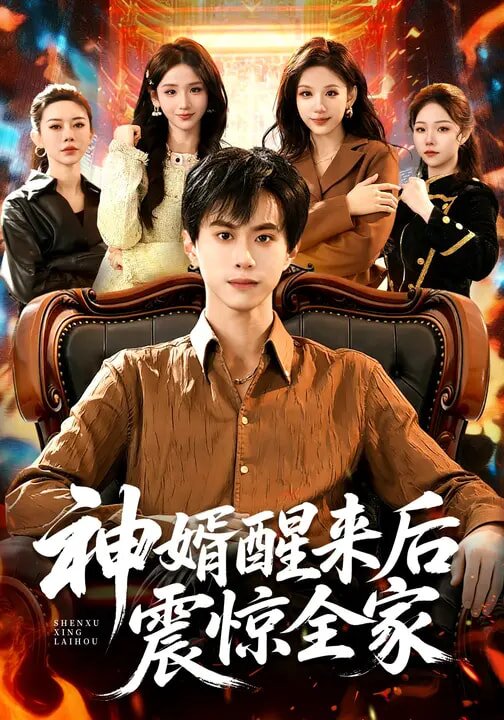 神婿醒来后震惊全家第52集