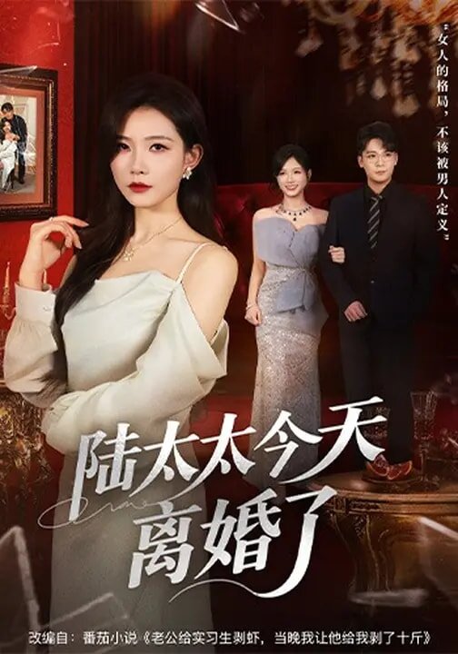 陆太太今天离婚了第53集