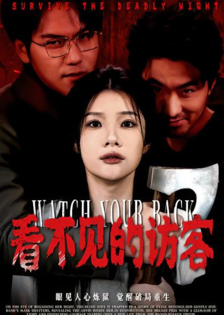 看不见的访客第09集