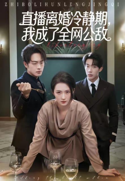 直播离婚冷静期，我成了全网公敌第47集