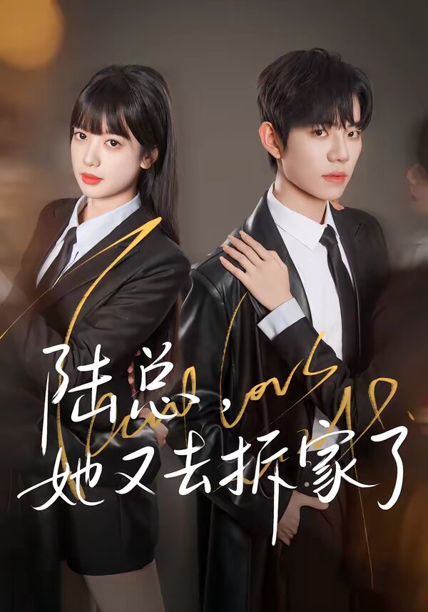 陆总，她又去拆家了第01集