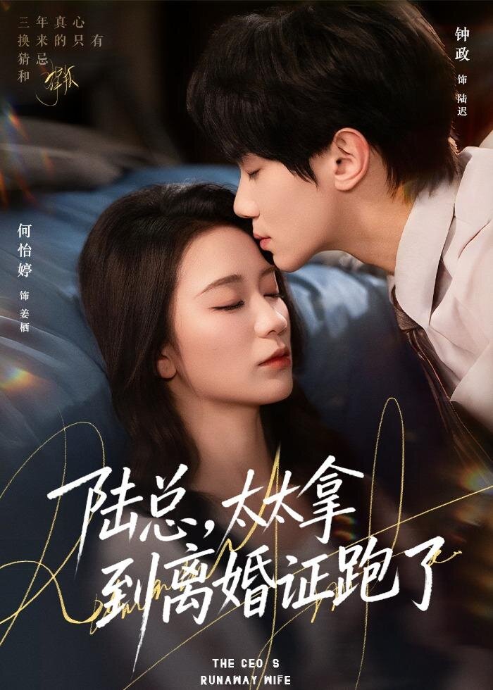 陆总，太太拿到离婚证跑了第45集